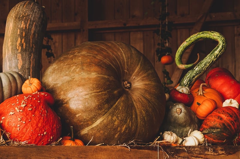 Quick Harvest
