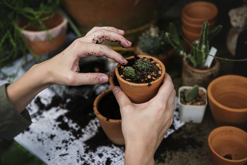 Herb Garden Kit